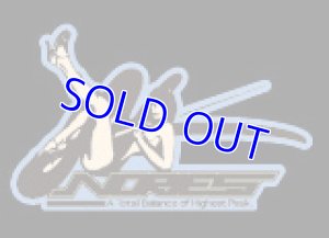 画像3: ノリーズデザインステッカーM (3)