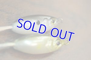 画像2: バマドリーム (2)