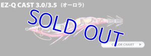 画像2: EZ-Q CAST (2)