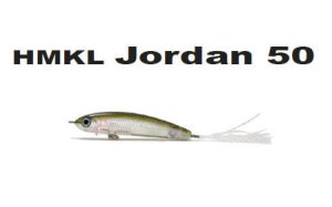 画像1: ジョーダン50湖別カラー (1)