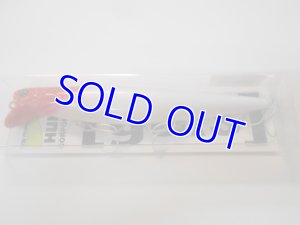 画像1: グース１４０Ｆ (1)