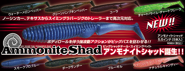 ジャッカル　アンモナイトシャッド５，５インチ入荷しました！！